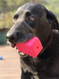 Jouet Occupation Pour Chien - Retro Van - SodaPup -Animalerie SodaPup jouet interactif pour chien chiot van rose 6