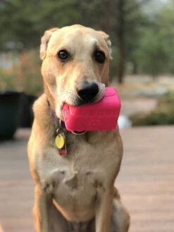 Jouet Occupation Pour Chien - Retro Van - SodaPup -Animalerie SodaPup jouet interactif pour chien chiot van rose 7