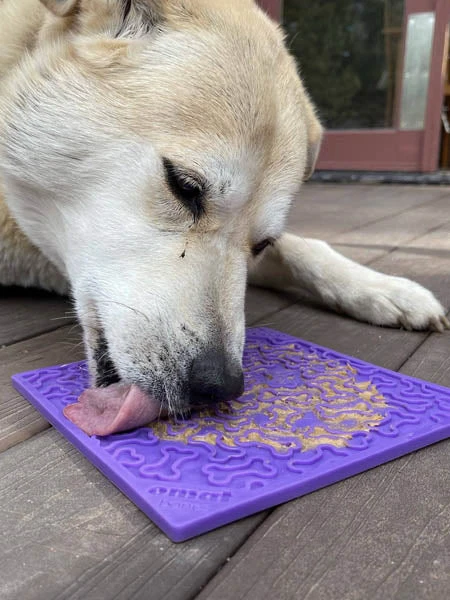 Tapis De Léchage Pour Chien Et Chat - Os Violet - SodaPup 4 Tapis De Léchage Pour Chien Et Chat - Os Violet - SodaPup – Image 2