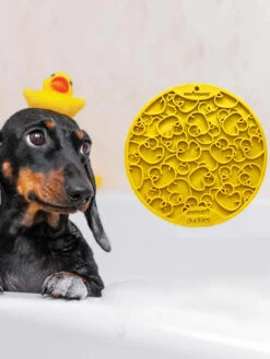 Tapis De Léchage Pour Chien Et Chat - Canard 🦆 - SodaPup -Animalerie SodaPup tapis lechage bain emat interactif chien chiot duckies 2