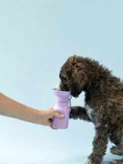 Gourde Pour Chien Avec Distributeur D’eau - Medium (44 Cl) Lila - Springer -Animalerie Springer gourde distributeur eau voyage chien violet 3