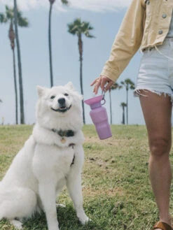 Gourde Pour Chien Avec Distributeur D’eau - Large (65 Cl) Lila - Springer 9 Gourde Pour Chien Avec Distributeur D’eau - Large (65 Cl) Lila - Springer -Animalerie Springer gourde distributeur eau voyage chien violet 4