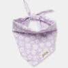 Bandana Pour Chien - Motif Belle Lila 🌸 - The Paws -Animalerie The Paws bandana pour chien Belle