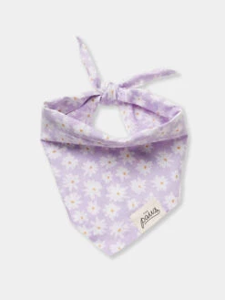 Bandana Pour Chien - Motif Belle Lila 🌸 - The Paws