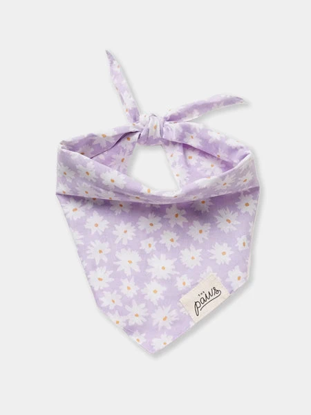 Bandana Pour Chien - Motif Belle Lila 🌸 - The Paws 3 Bandana Pour Chien - Motif Belle Lila 🌸 - The Paws