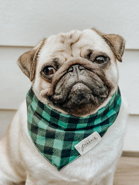 Bandana Pour Chien - Motif Bourbon - The Paws 4 Bandana Pour Chien - Motif Bourbon - The Paws – Image 2