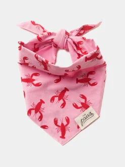 Bandana Pour Chien - Motif Homard Frye Island 🦞 - The Paws