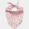 Bandana Pour Chien - Motif Party Blush 🎈 - The Paws