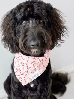 Bandana De Noël Pour Chien - Motif Candyland Rose - The Paws -Animalerie The Paws bandana pour chien candyland rose 2 1