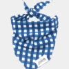 Bandana Pour Chien - Motif Carreaux Bleus - The Paws 1 Bandana Pour Chien - Motif Carreaux Bleus - The Paws -Animalerie The Paws bandana pour chien carreau bleu 1 1