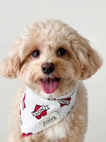 Bandana Pour Chien - Motif Love Mom ♥️ - The Paws 4 Bandana Pour Chien - Motif Love Mom ♥️ - The Paws – Image 2
