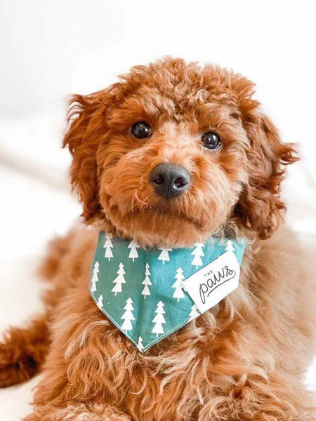 Bandana Pour Chien - Motif Forest Sapin - The Paws 5 Bandana Pour Chien - Motif Forest Sapin - The Paws – Image 3