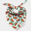 Bandana Pour Chien - Motif Pastèque 🍉 - The Paws 2 Bandana Pour Chien - Motif Pastèque 🍉 - The Paws -Animalerie The Paws bandana pour chien melon pasteque