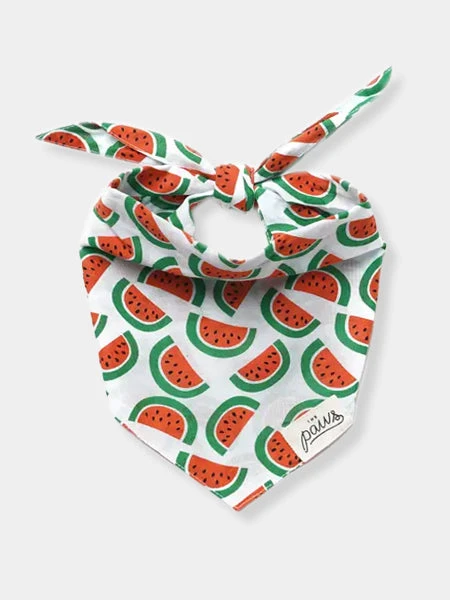 Bandana Pour Chien - Motif Pastèque 🍉 - The Paws 3 Bandana Pour Chien - Motif Pastèque 🍉 - The Paws