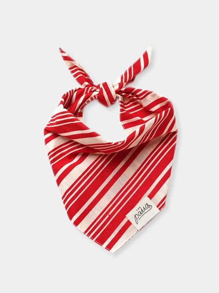 Bandana D'Hiver Pour Chien - Motif Sugar - The Paws 3 Bandana D'Hiver Pour Chien - Motif Sugar - The Paws