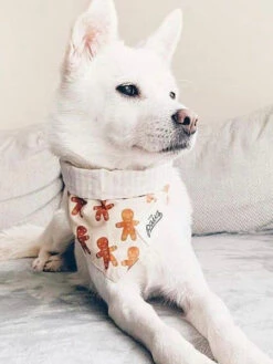 Bandana De Noël Pour Chien - Motif Little Ginger - The Paws -Animalerie The Paws bandana pour chien pain epice 2 1