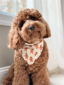 Bandana De Noël Pour Chien - Motif Little Ginger - The Paws -Animalerie The Paws bandana pour chien pain epice 3