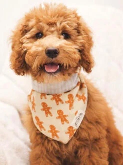 Bandana De Noël Pour Chien - Motif Little Ginger - The Paws -Animalerie The Paws bandana pour chien pain epice 5 1