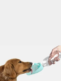 Gourde Et Distributeur D'eau Portable Leaf - Bleu - United Pets -Animalerie United pets gourde eau pour chien leaf bleu 3