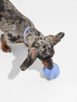 Balle Twist Toss Pour Chien - Bleu Ciel - Wild One -Animalerie Wild one accessoire chien design balle twist toss bleu clair 3