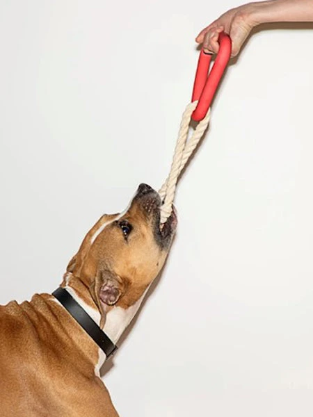 Triangle En Caoutchouc Et Corde Pour Chien - Rouge - Wild One 4 Triangle En Caoutchouc Et Corde Pour Chien - Rouge - Wild One – Image 2