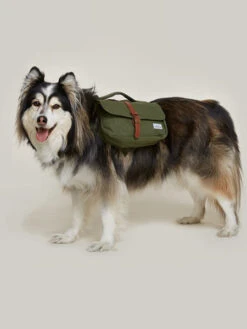 Ranger Pack - Sac à Dos Pour Chien - Vert Foret - Wolf Republic -Animalerie Wolf Republic Ranger Pack Sac a dos chien vert 1