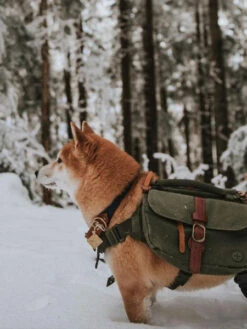 Ranger Pack - Sac à Dos Pour Chien - Vert Foret - Wolf Republic -Animalerie Wolf Republic Ranger Pack Sac a dos chien vert 5 1