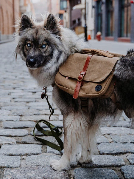 Ranger Pack - Sac à Dos Pour Chien - Whiskey - Wolf Republic 4 Ranger Pack - Sac à Dos Pour Chien - Whiskey - Wolf Republic – Image 2