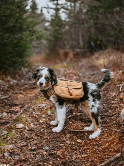 Ranger Pack - Sac à Dos Pour Chien - Whiskey - Wolf Republic 9 Ranger Pack - Sac à Dos Pour Chien - Whiskey - Wolf Republic -Animalerie Wolf Republic Ranger Pack Sac a dos chien whiskey 3 1