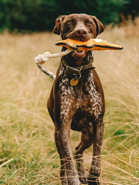 Peluche Pour Chien écologique - Kangourou - Beco Pets 4 Peluche Pour Chien écologique - Kangourou - Beco Pets – Image 2