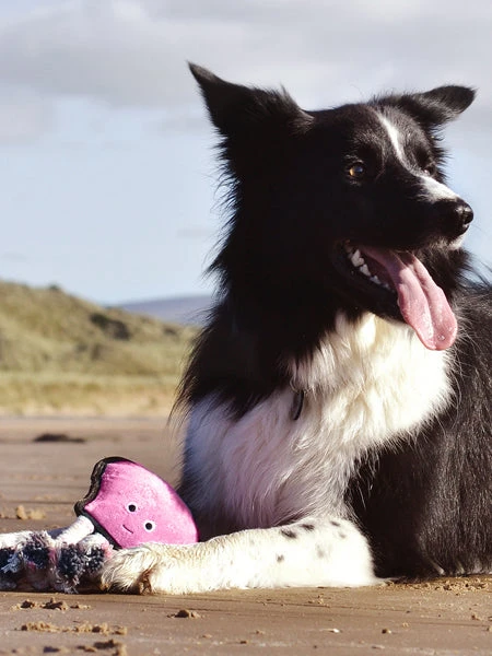 Peluche Pour Chien écologique - Pieuvre - Beco Pets 4 Peluche Pour Chien écologique - Pieuvre - Beco Pets – Image 2