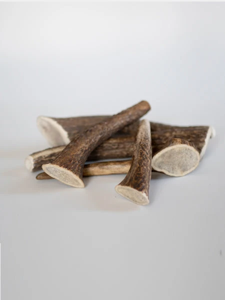 Bois De Cerf à Mâcher Naturel Pour Chien 6 Bois De Cerf à Mâcher Naturel Pour Chien – Image 4