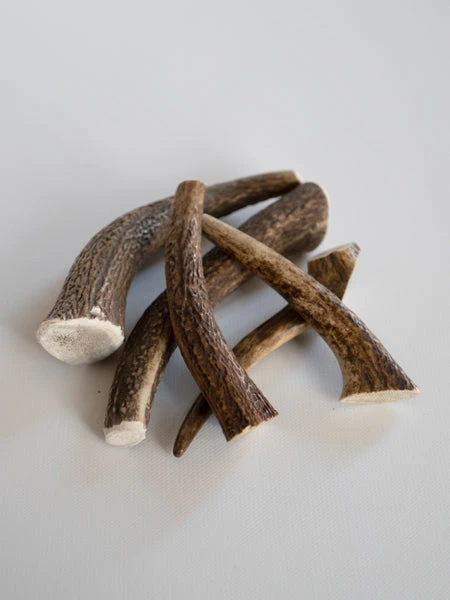 Bois De Cerf à Mâcher Naturel Pour Chien 5 Bois De Cerf à Mâcher Naturel Pour Chien – Image 3