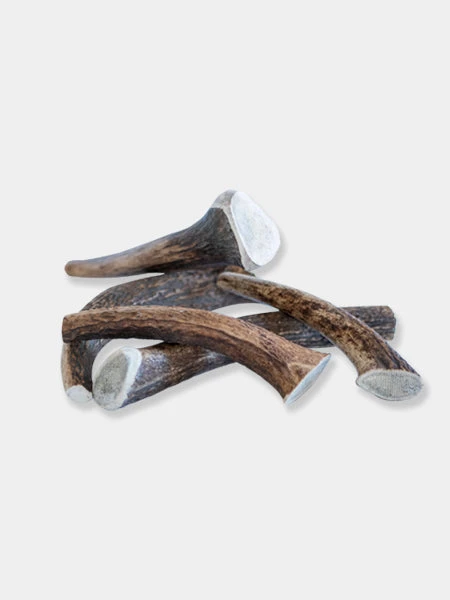 Bois De Cerf à Mâcher Naturel Pour Chien 3 Bois De Cerf à Mâcher Naturel Pour Chien