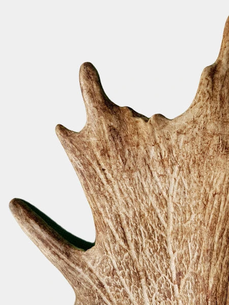 Bois De Daim à Mâcher Naturel Pour Chien 4 Bois De Daim à Mâcher Naturel Pour Chien – Image 2