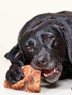 Racine De Bruyère Naturelle à Mâcher Pour Chien -Animalerie bois racine de bruyere a macher 3
