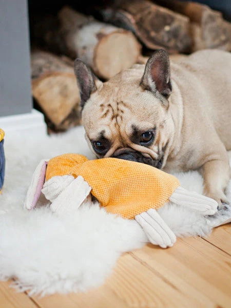 Jouet En Peluche Pour Chien - Bax L'âne 5 Jouet En Peluche Pour Chien - Bax L'âne – Image 3