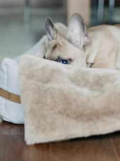 Plaid Confortable Pour Chien Et Chiot - NAP - Gris -Animalerie bowl and bone plaid pour chien chiot nap gris 1