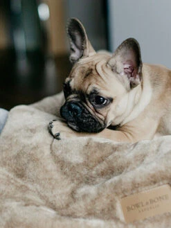 Plaid Confortable Pour Chien Et Chiot - NAP - Gris -Animalerie bowl and bone plaid pour chien chiot nap gris 3 17a1e9ad 1fe4 470d a67b b47f47c4c159