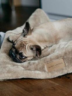 Plaid Confortable Pour Chien Et Chiot - NAP - Gris -Animalerie bowl and bone plaid pour chien chiot nap gris 4 dd9f501d e252 4bda 8106 afd2486a5b60