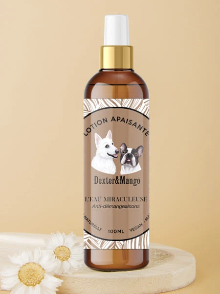 Lotion Apaisante Anti-démangeaisons - L'eau Miraculeuse - Dexter & Mango 4 Lotion Apaisante Anti-démangeaisons - L'eau Miraculeuse - Dexter & Mango – Image 2