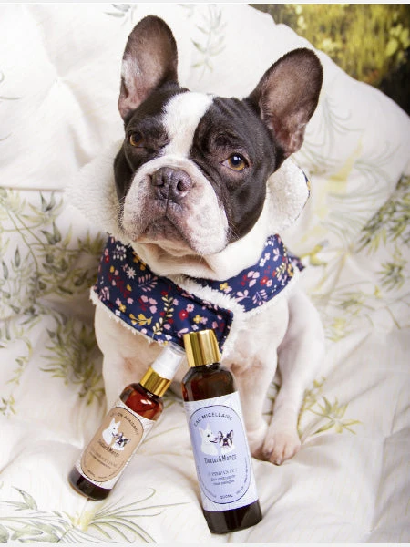 Lotion Apaisante Anti-démangeaisons - L'eau Miraculeuse - Dexter & Mango 5 Lotion Apaisante Anti-démangeaisons - L'eau Miraculeuse - Dexter & Mango – Image 3