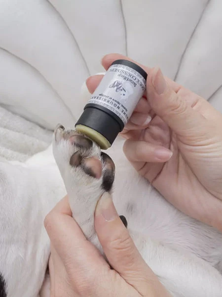 Stick Doux Coussinets 🐾 Pour Chien - Dexter & Mango 4 Stick Doux Coussinets 🐾 Pour Chien - Dexter & Mango – Image 2