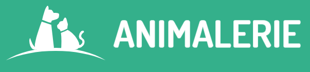 Animalerie