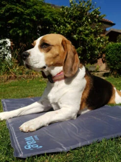 Tapis Rafraichissant Pour Chien - Pet Cool Mat - Henry Wag -Animalerie henry wag tapis raffraichissant coolingmat pour chien 5