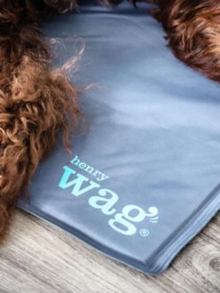Tapis Rafraichissant Pour Chien - Pet Cool Mat - Henry Wag -Animalerie henry wag tapis raffraichissant coolingmat pour chien 7