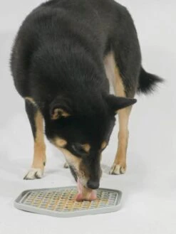 Tapis D'occupation Pour Chien Et Chat - Gris -Animalerie inooko Tapis YoomY Mat 1 529edcd5 7f12 4208 8550 a6a50e736947