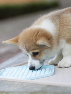 Tapis D'occupation Pour Chien Et Chat - Gris -Animalerie inooko Tapis YoomY Mat 7 1cb65ba1 e5b3 49ec b43d 40d6df393ce9