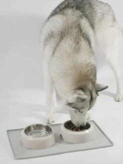 Tapis De Gamelle Pour Chien Et Chat - Sable -Animalerie inooko Tapis de gamelle 1 63f208e5 e86b 4808 903d 94da960177f2