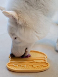 Tapis De Léchage 🍔 Pour Chien Et Chat - YoomY Burger - Inooko 9 Tapis De Léchage 🍔 Pour Chien Et Chat - YoomY Burger - Inooko -Animalerie inooko Tapis lechage YoomY Burger 2